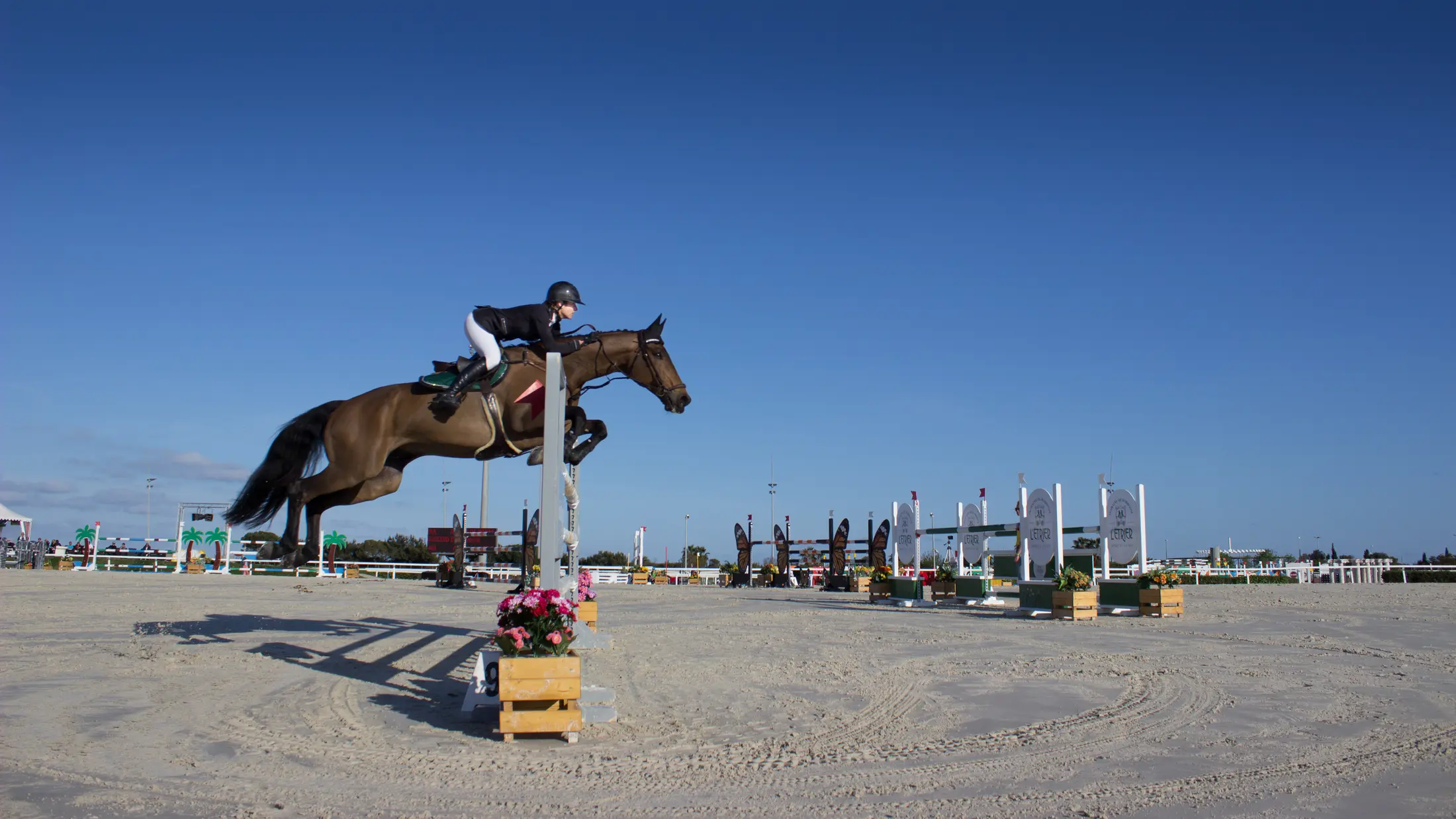 Jumping Torgnon, equitazione ad alta quota